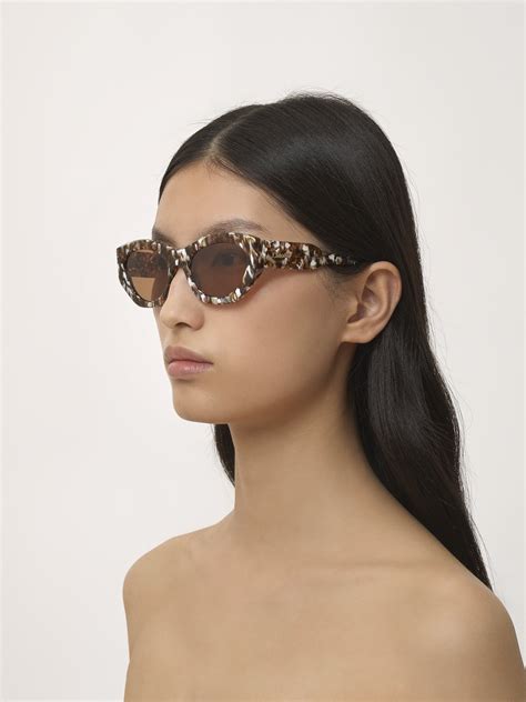 chloe sunglasses havana|Gayia sunglasses .